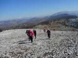 DSCN6184